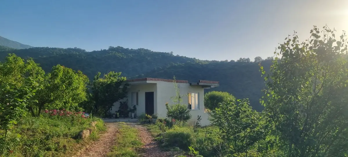 ویلا یک خوابه جنگلی شوار - نمای کلی خانه 