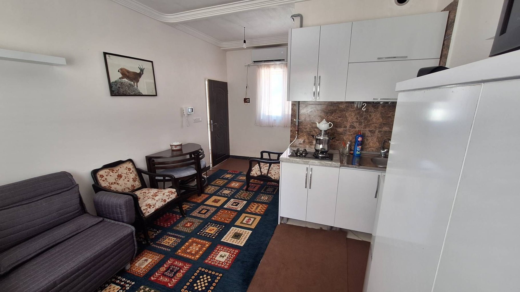 فلت فغانی ۱