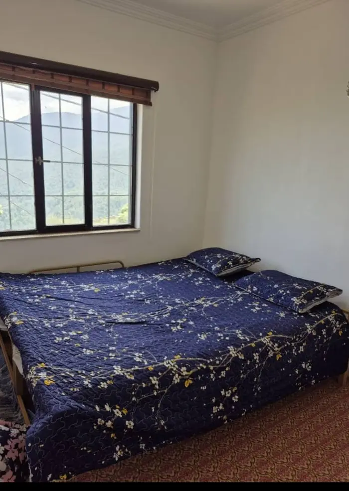 ویلا یک خوابه دوبلکس جنگلی جوان