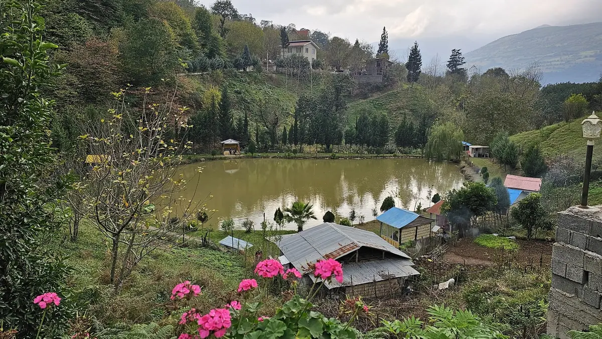 سوئیت فلت شهران 2