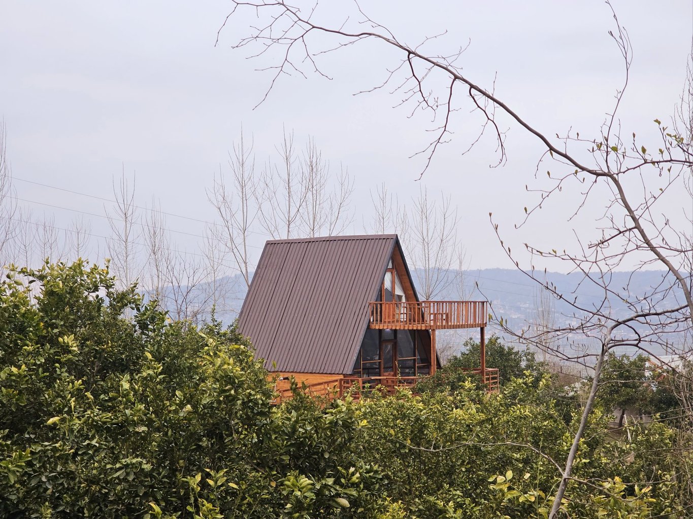 یک خوابه سوئیسی تی تی