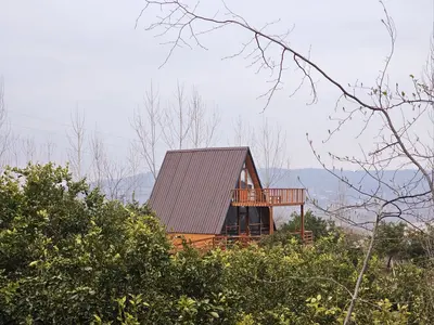 کلبه یک خوابه سوئیسی تی تی