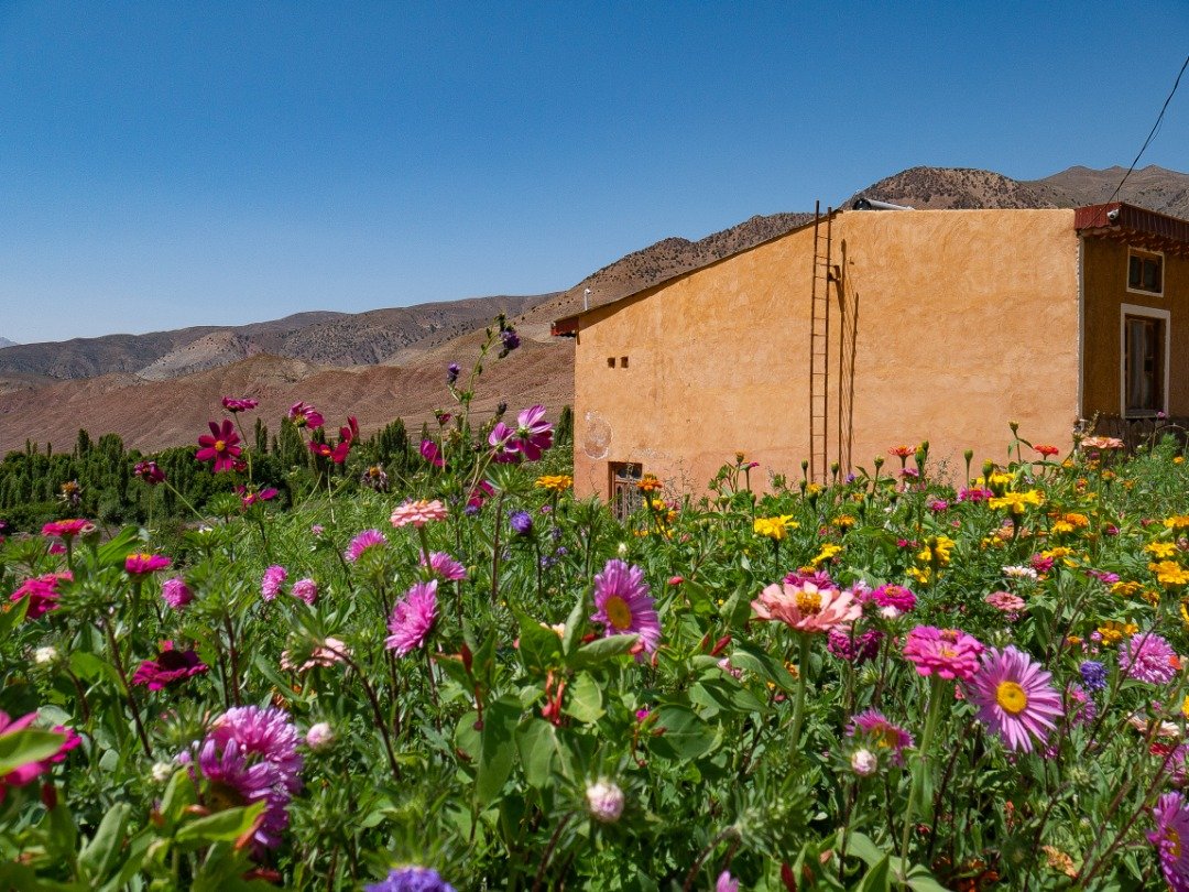 بوم گردی روز یه - واحد آسوران