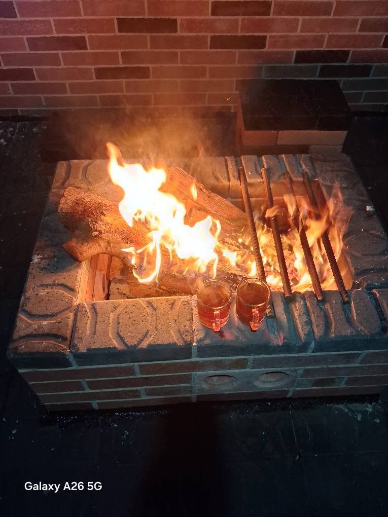 کلبه یک خوابه سوئیسی کوتوم