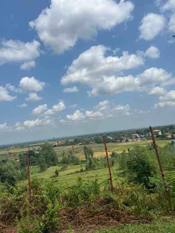 دوخوابه جنگلی درماکلوان ۵ - انتخاب عنوان تصویرجلوی ساختمان