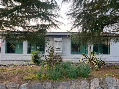 بومگردی فلت دیم - واحد سماء