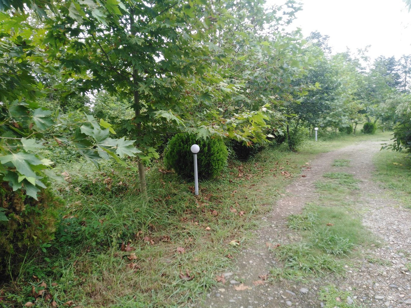 یک خوابه جنگلی هفت اقلیم 625