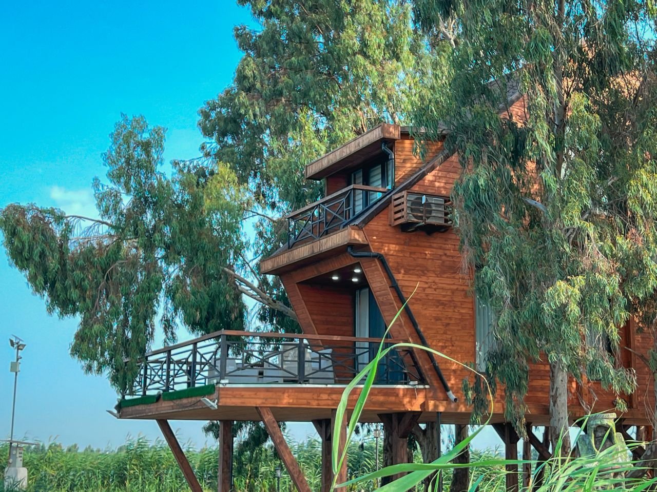 یک خوابه درختی دهکده