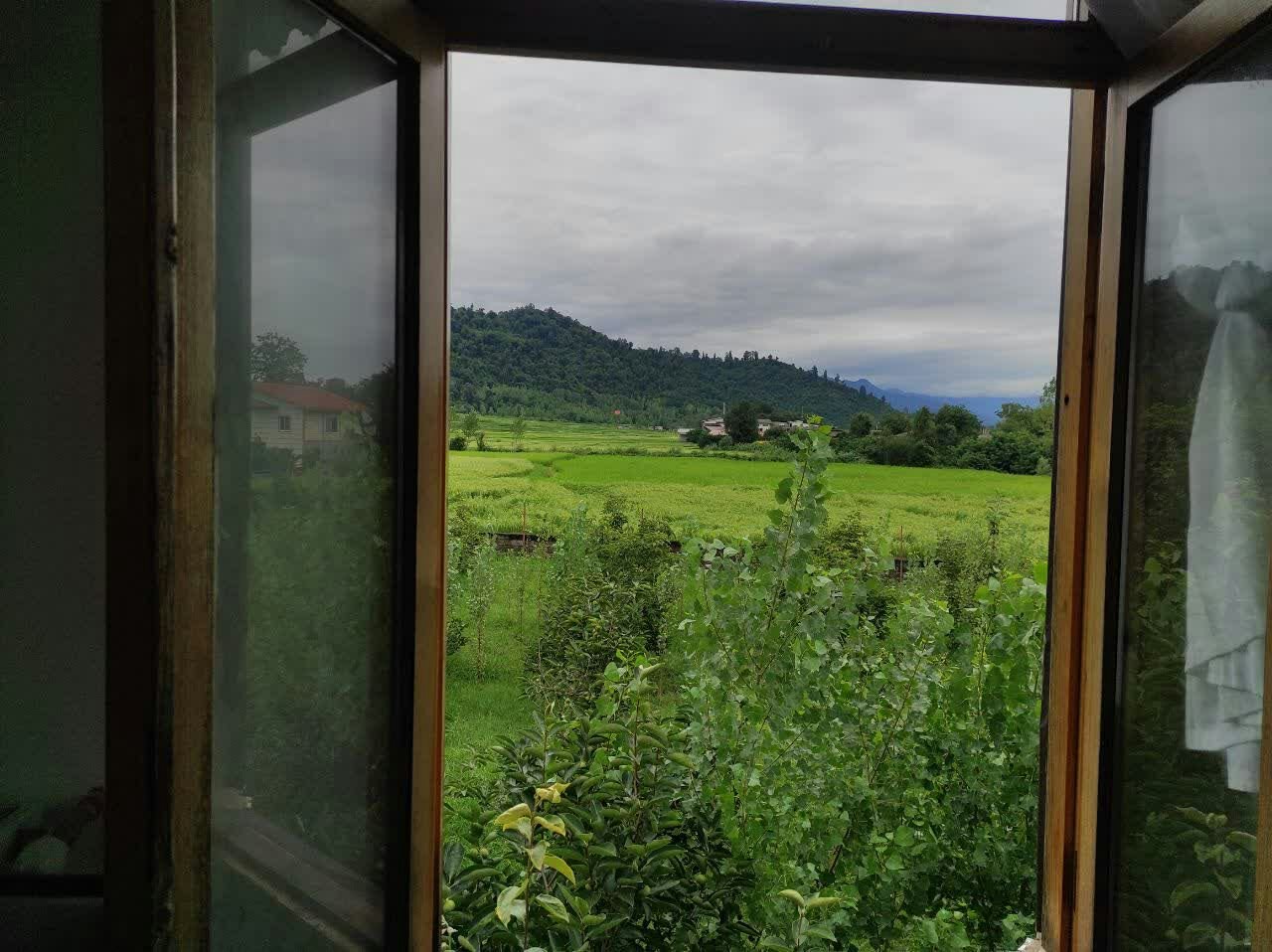 یک خوابه باغ خرمالو - منظره پنجره غربی 