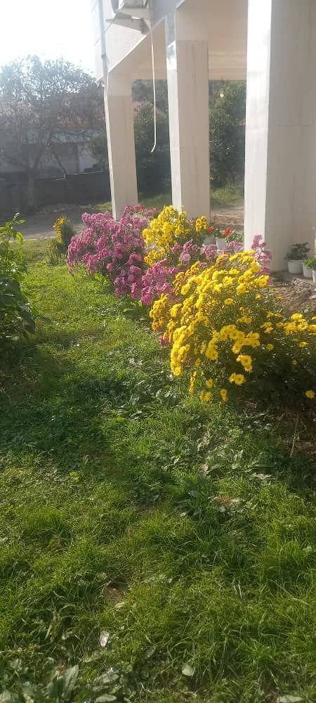 آپارتمان باچشم انداز جنگل ودریا