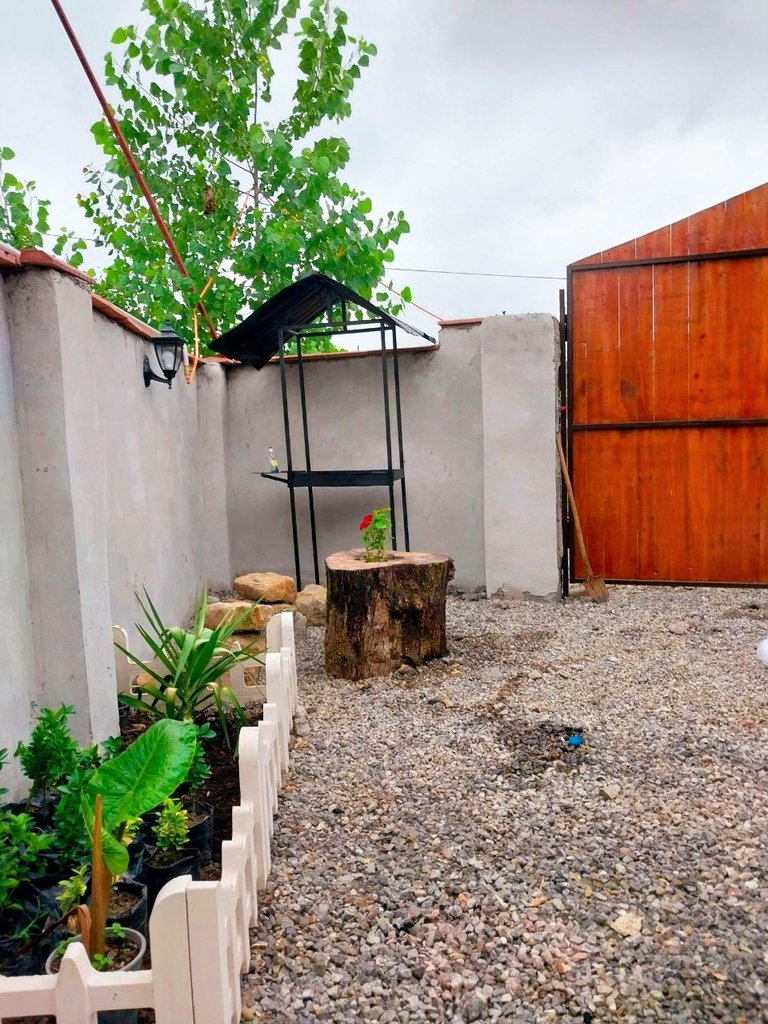 یک خوابه سوئیسی عشق رویایی