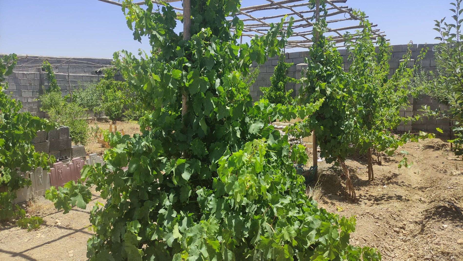 ویلا فلت باغ شهر