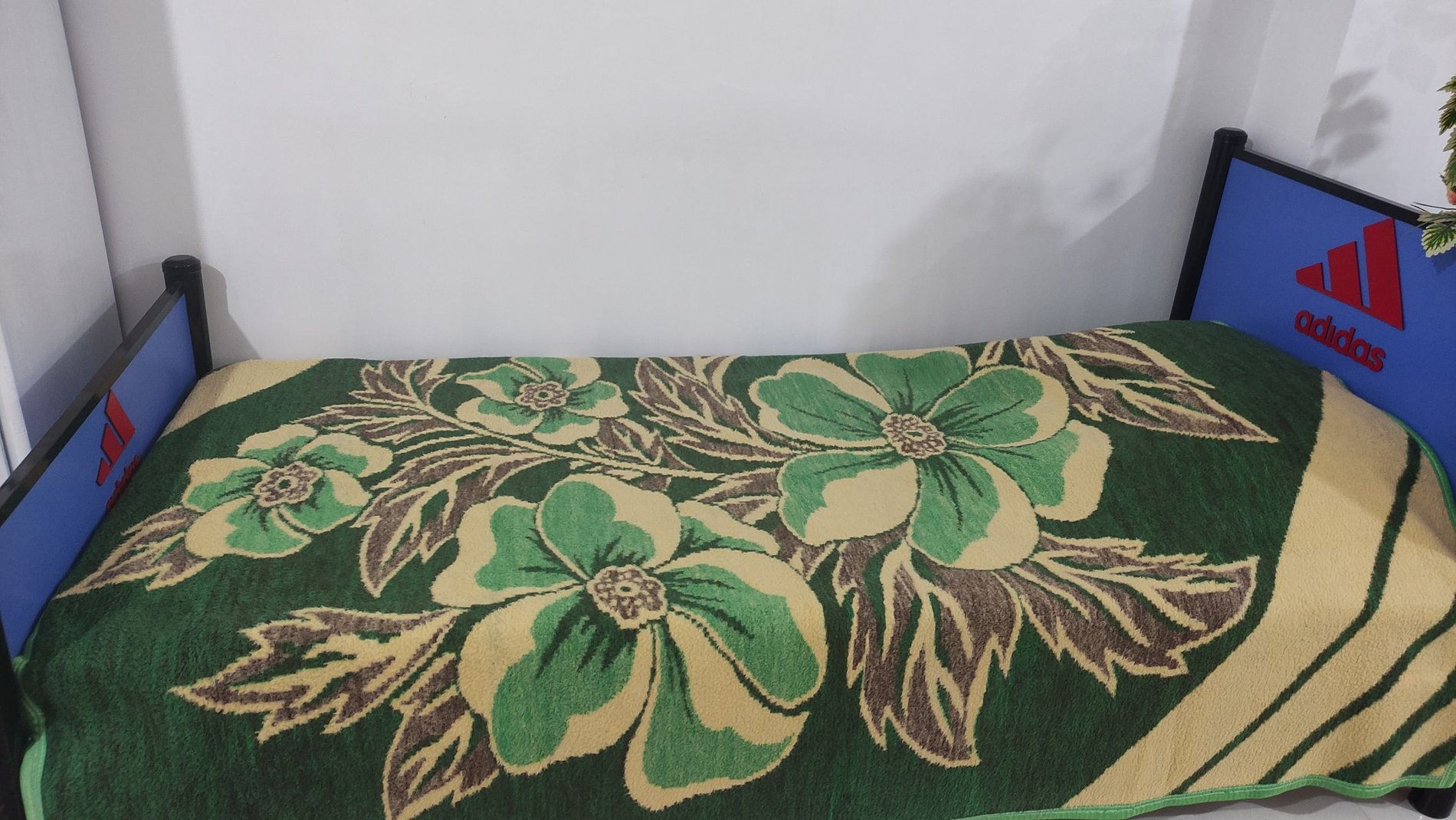 فلت باغ شهر