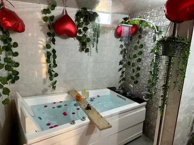 کلبه یک خوابه چوبی نیلا