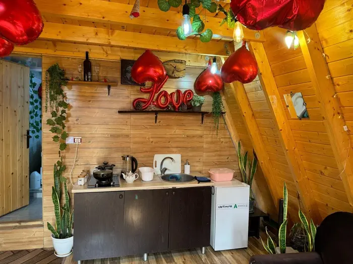 کلبه یک خوابه چوبی نیلا - اشپزخانه