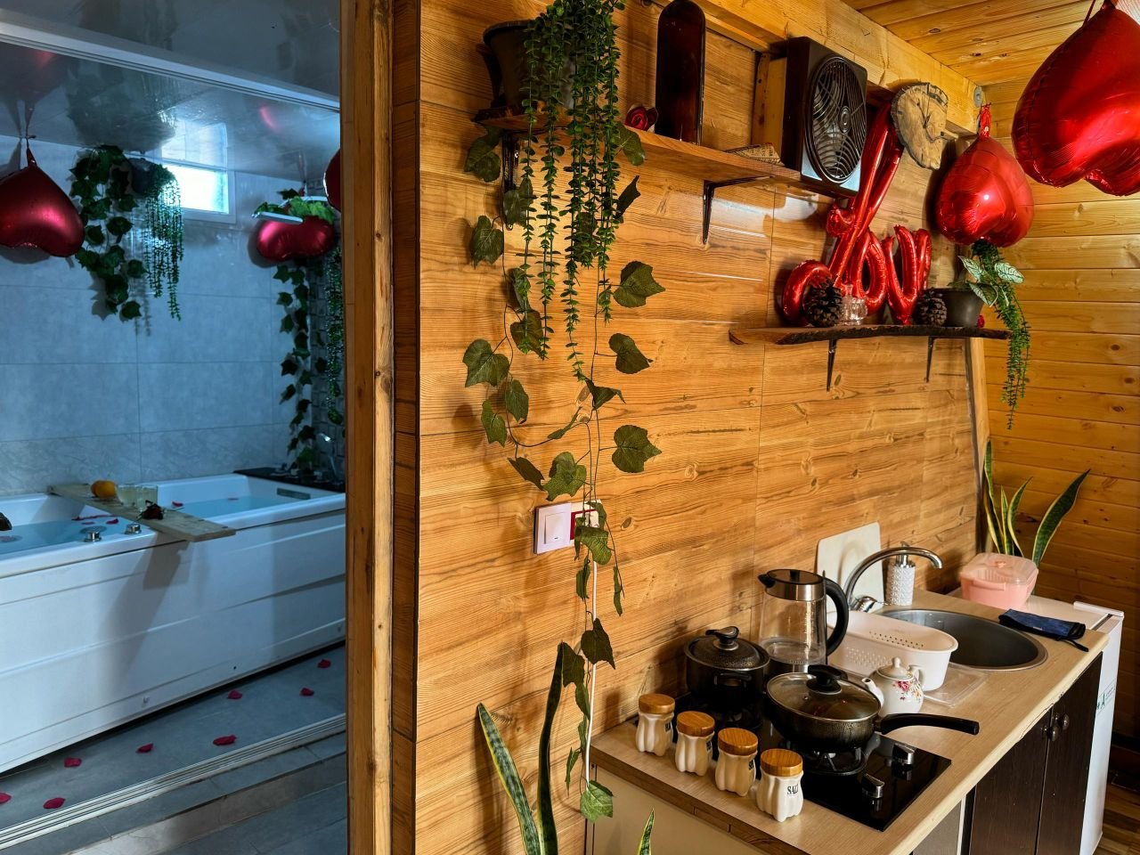 کلبه یک خوابه چوبی نیلا