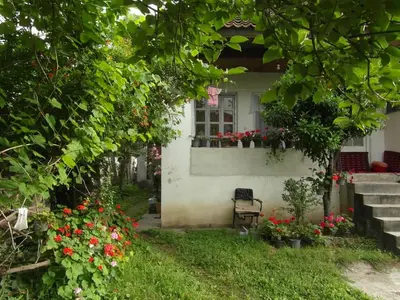 سوئیت یک خوابه اردیبهشت ۱