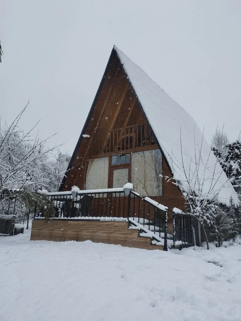 کلبه یک خوابه جنگلی جکوزی دار دیار 