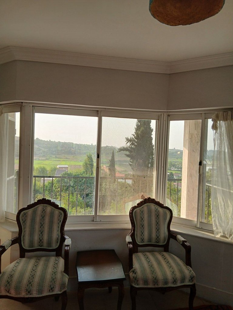 فلت باغ ونوشه