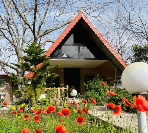 کلبه فلت چکاوک