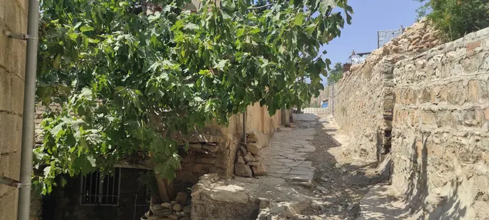 سوئیت دوخوابه کانیا