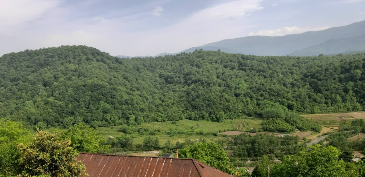 یک خوابه جنگلی‌ لفور 2