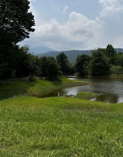 کلبه یک خوابه سوئیسی آرامش