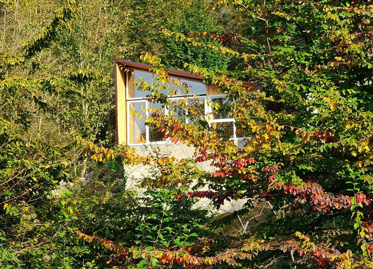 یک خوابه جنگلی لفور - واحد انجیلی