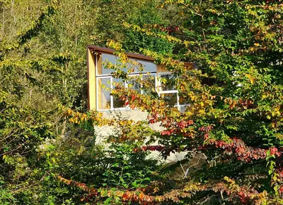 کلبه یک خوابه جنگلی لفور - واحد انجیلی