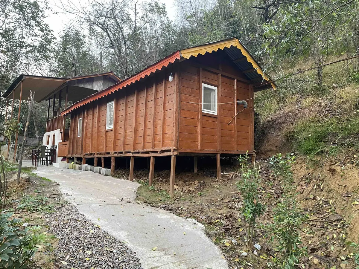 کلبه فلت جنگلی کامروان - انتخاب عنوان تصویر