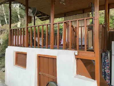 کلبه فلت جنگلی کامروان