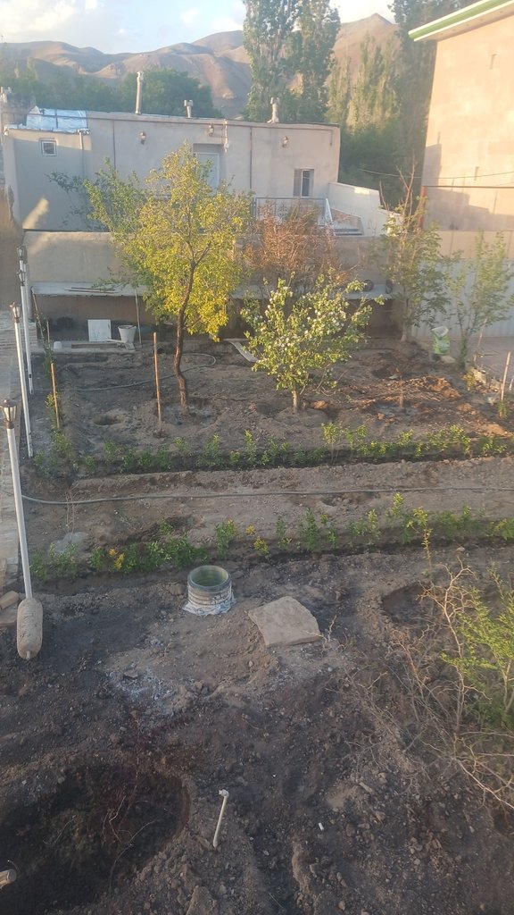 بوم گردی بومگردی یاس سفید - ۱۱۱