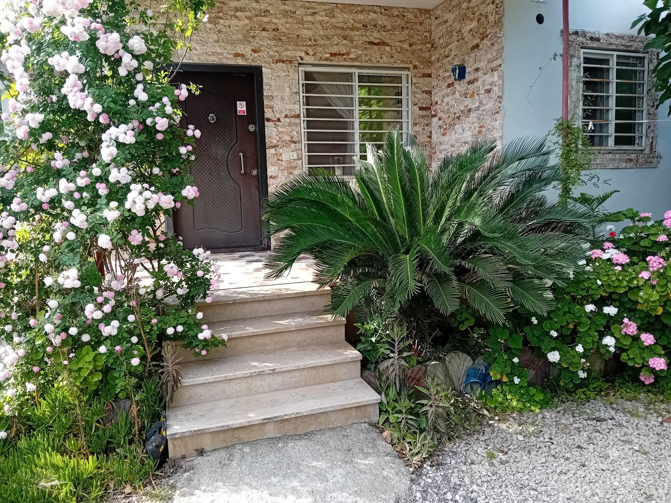 ویلا آوای طبیعت 1