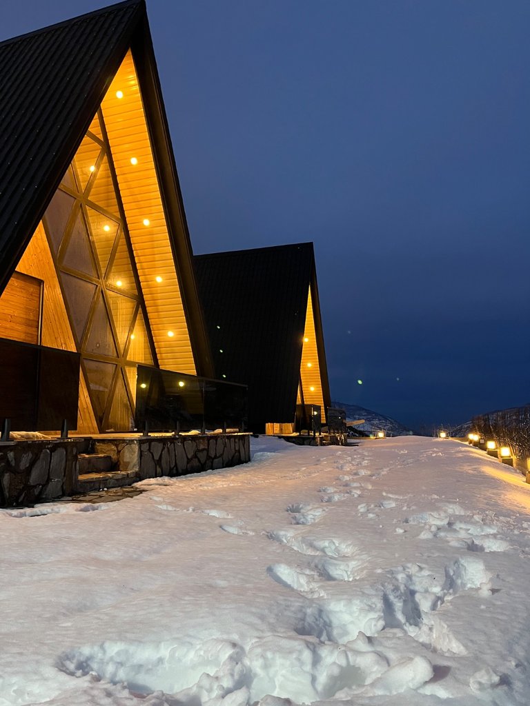 کلبه یک خوابه جکوزی دار تمشک ۱