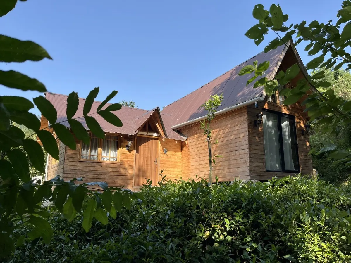 کلبه دوخوابه جنگلی چهل‌ستون - تصویر اصلی 