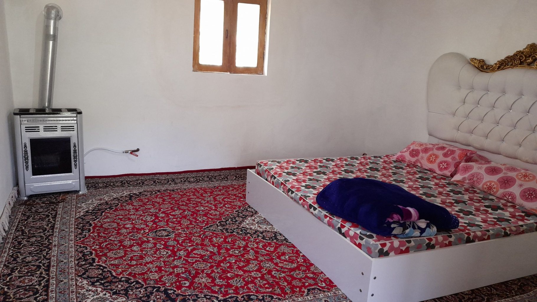 دوخوابه جنگلی زردلجه