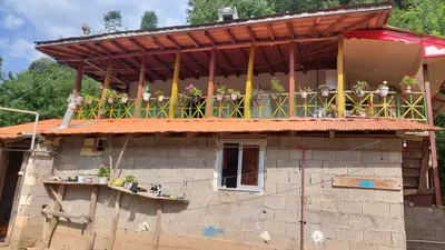 کلبه دوخوابه جنگلی زردلجه