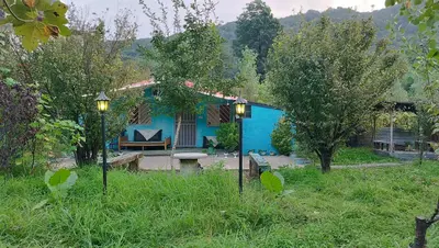 کلبه یک خوابه جنگلی آسایش