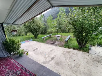 کلبه یک خوابه جنگلی آسایش