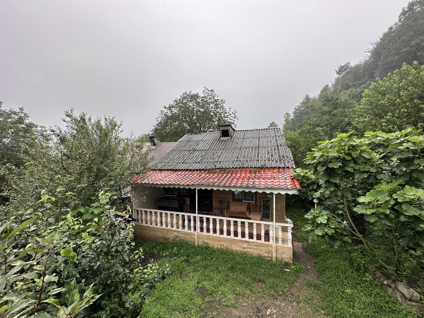 دوخوابه جنگلی تی تی