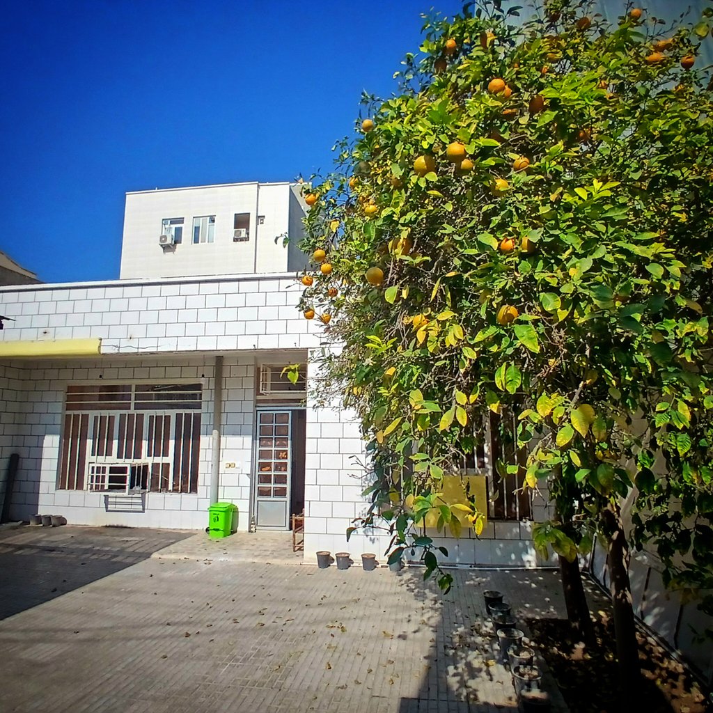 ویلا سه خوابه خانه هامورا