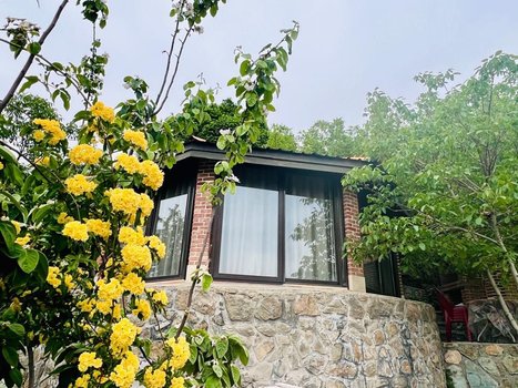 کلبه فلت شیشه ای لونا - نمای جنوبی