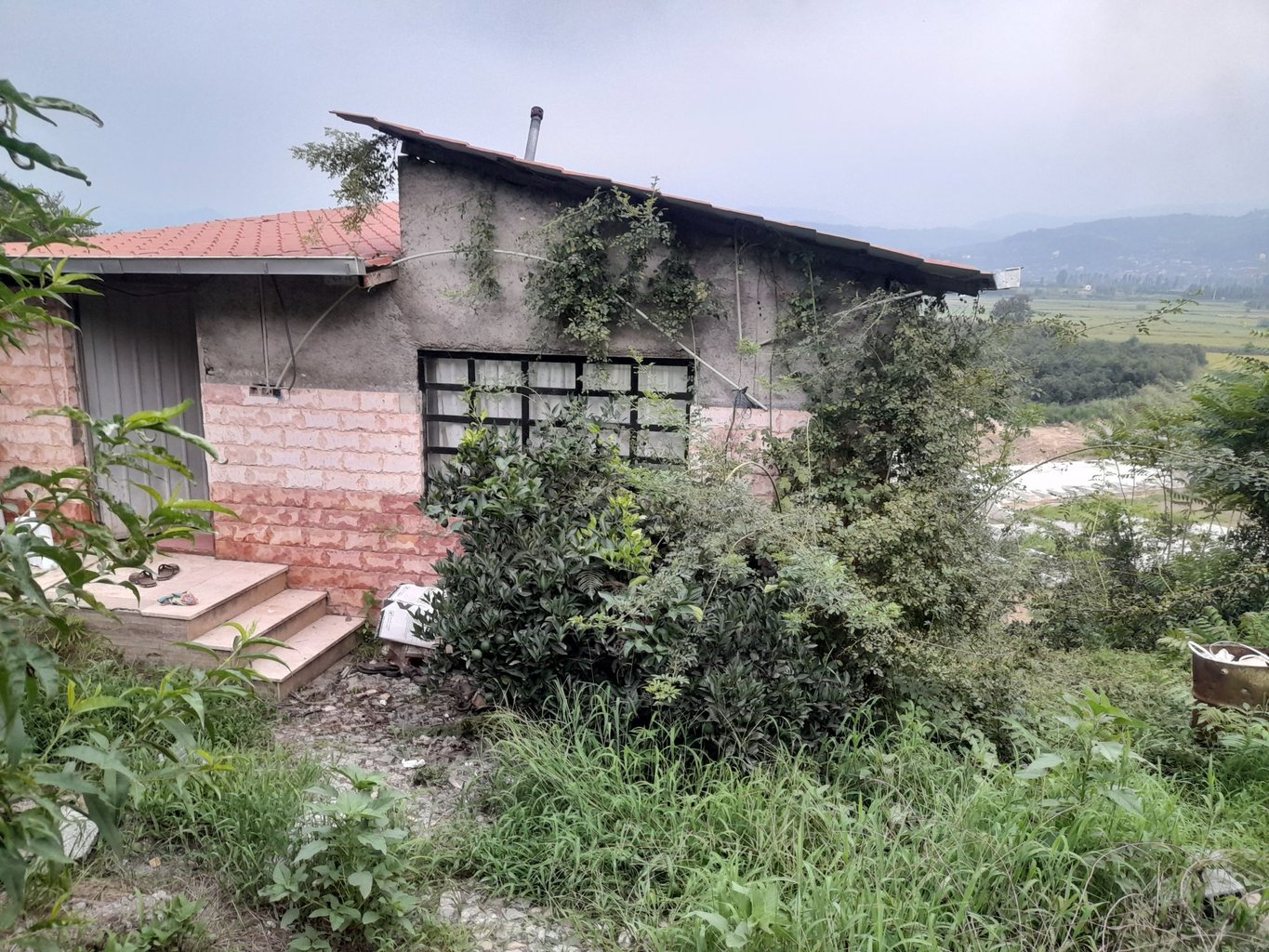 یک خوابه جنگلی بالف کلای شرقی