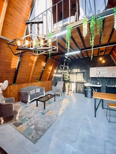 کلبه یک خوابه سوئیسی اودین