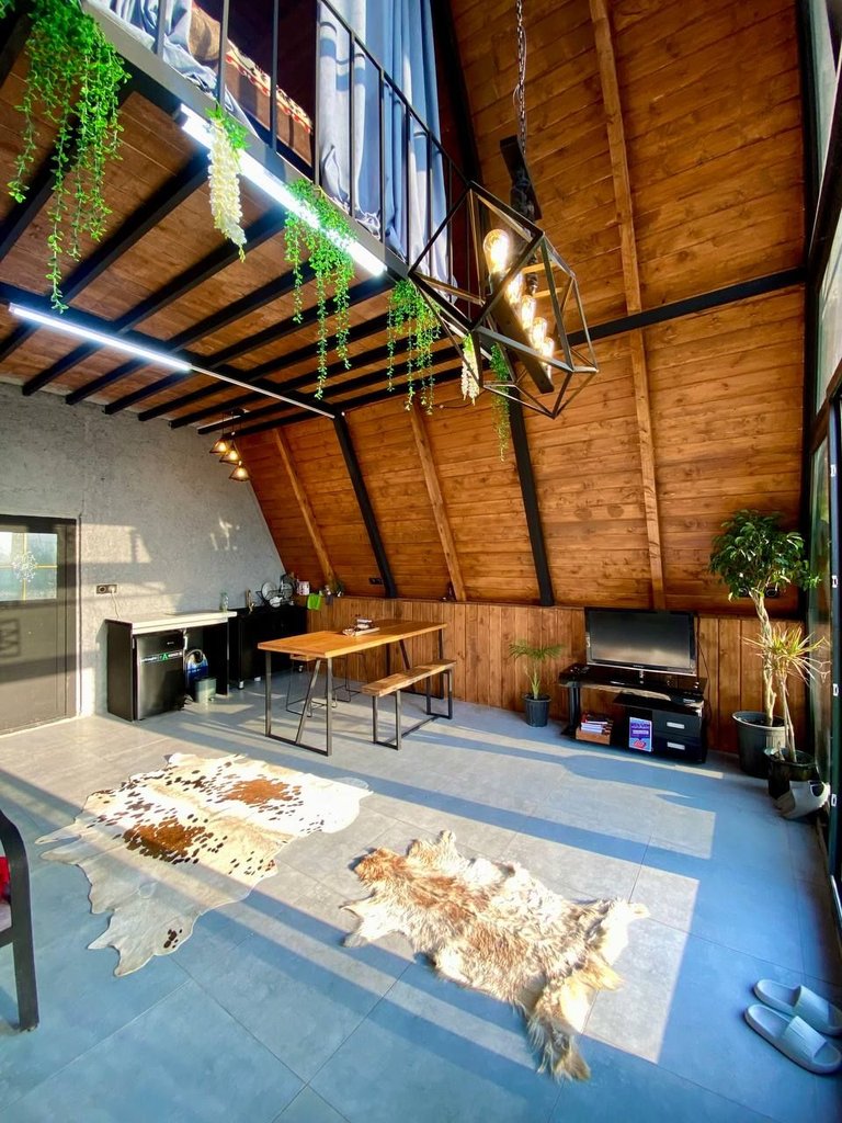 یک خوابه سوئیسی اودین