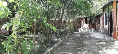 ویلا دوخوابه باغ گل یخ