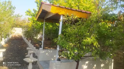 ویلا یک خوابه جنگلی پالیز.