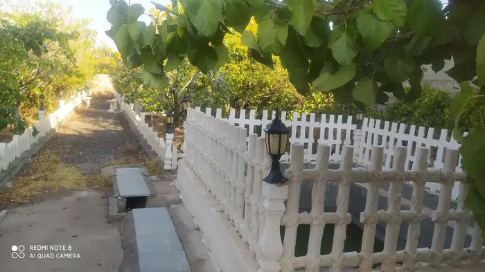 یک خوابه جنگلی پالیز.