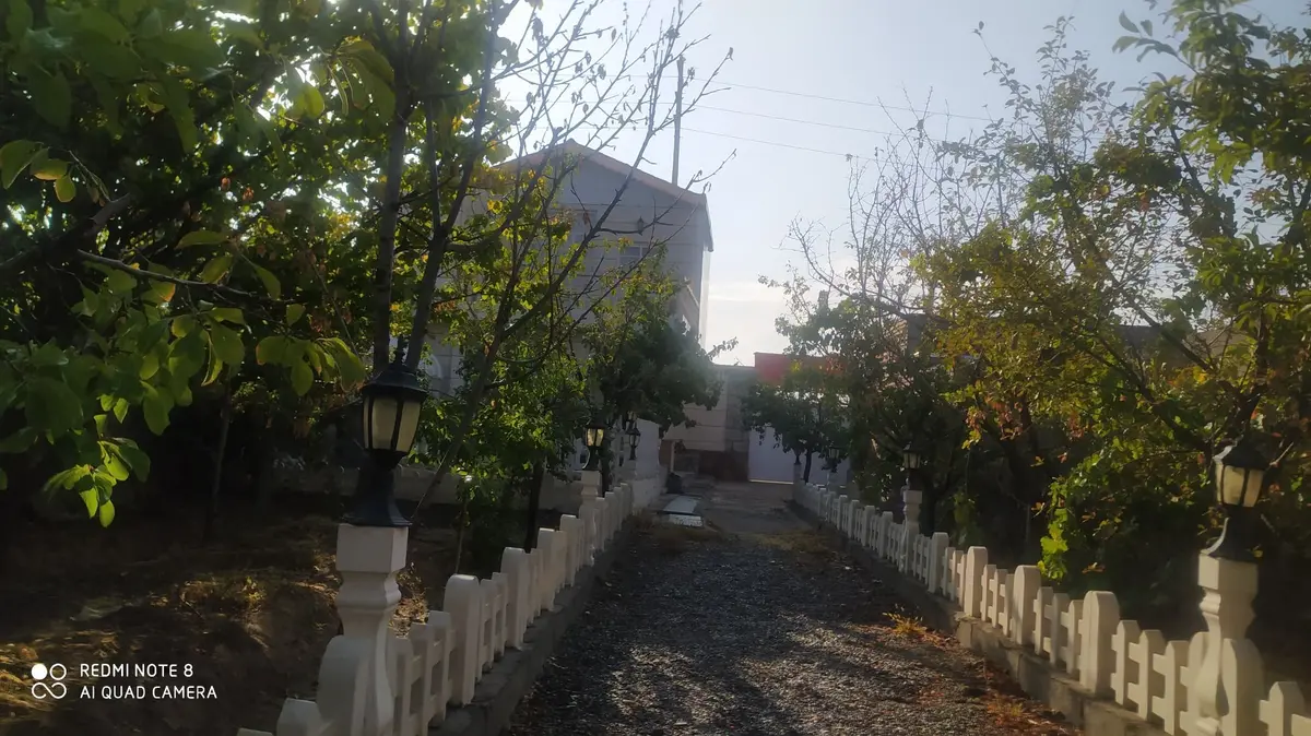 یک خوابه جنگلی پالیز.