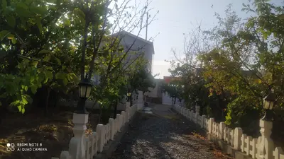 ویلا یک خوابه جنگلی پالیز.